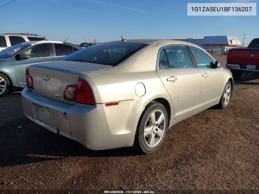 1G1ZA5EU1BF136207 2011 Chevrolet Malibu Ls