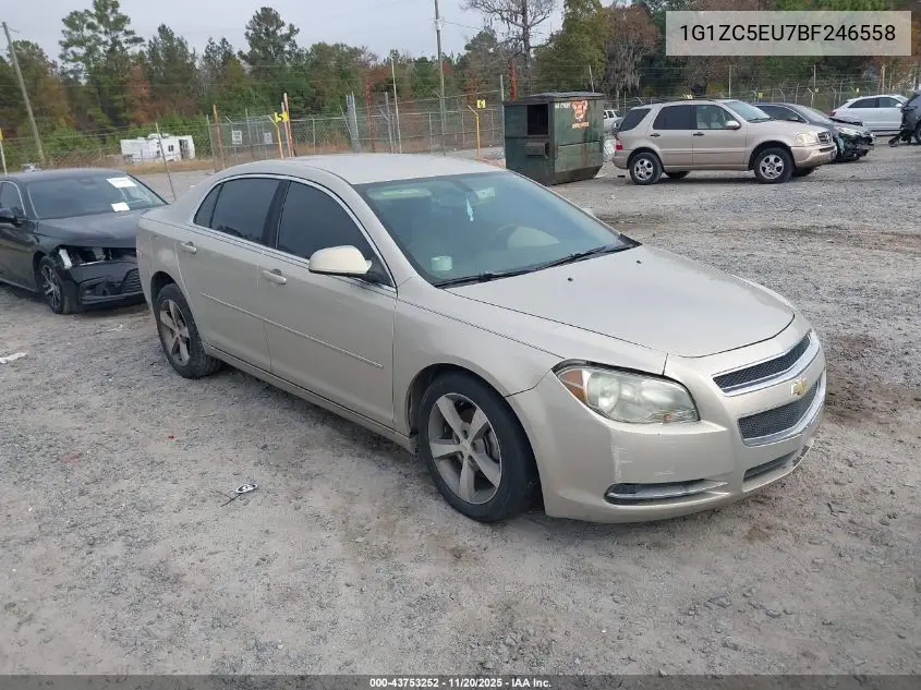 1G1ZC5EU7BF246558 2011 Chevrolet Malibu 1Lt