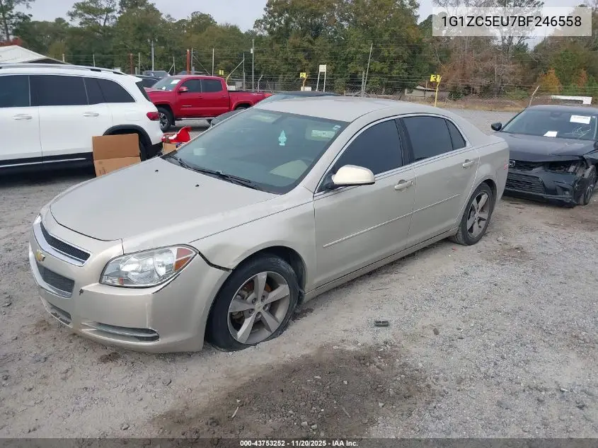 1G1ZC5EU7BF246558 2011 Chevrolet Malibu 1Lt