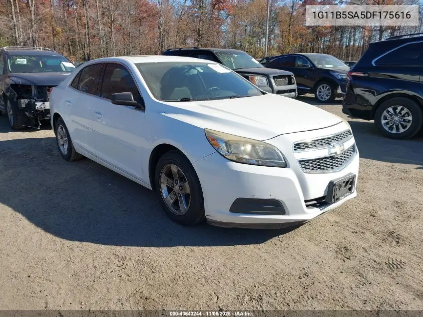 1G11B5SA5DF175616 2013 Chevrolet Malibu 1Ls