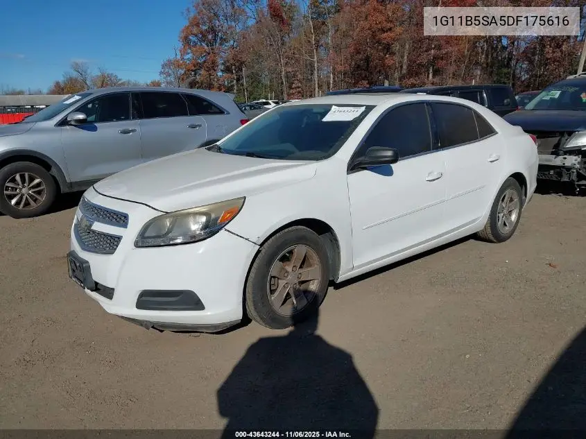 1G11B5SA5DF175616 2013 Chevrolet Malibu 1Ls