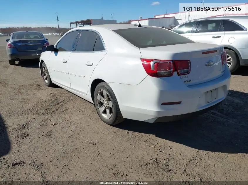 1G11B5SA5DF175616 2013 Chevrolet Malibu 1Ls