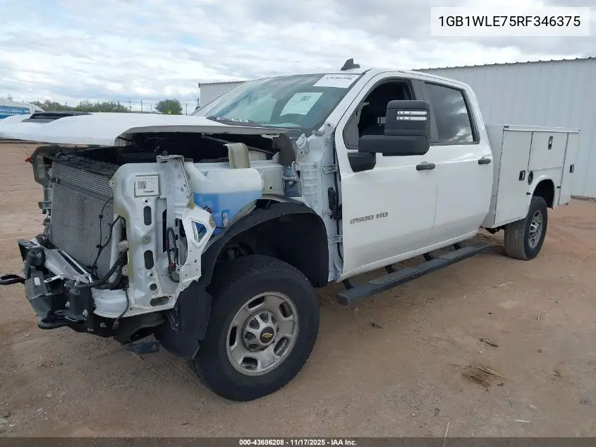 1GB1WLE75RF346375 2024 Chevrolet Silverado 2500Hd 2Wd Long Bed Work Truck