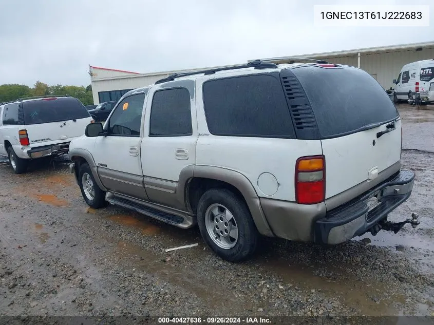 2001 Chevrolet Tahoe C1500 VIN: 1GNEC13T61J222683 Lot: 40427636