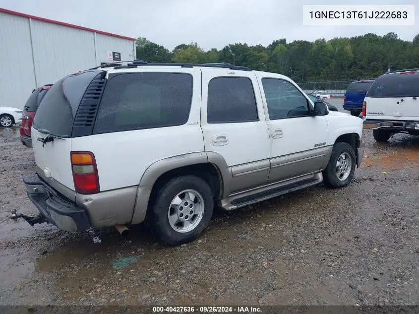 2001 Chevrolet Tahoe C1500 VIN: 1GNEC13T61J222683 Lot: 40427636