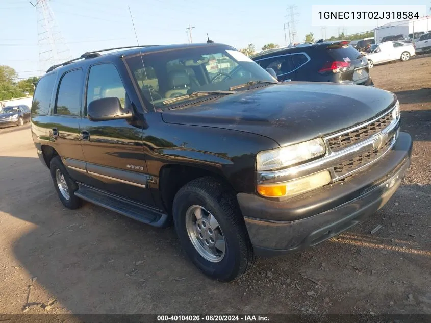 1GNEC13T02J318584 2002 Chevrolet Tahoe C1500