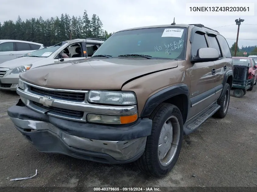 2003 Chevrolet Tahoe Ls VIN: 1GNEK13Z43R203061 Lot: 40379605