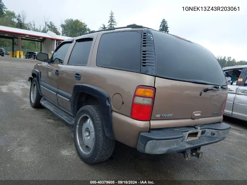 2003 Chevrolet Tahoe Ls VIN: 1GNEK13Z43R203061 Lot: 40379605