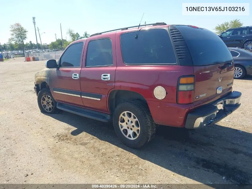 2005 Chevrolet Tahoe Ls VIN: 1GNEC13V65J103216 Lot: 40390426