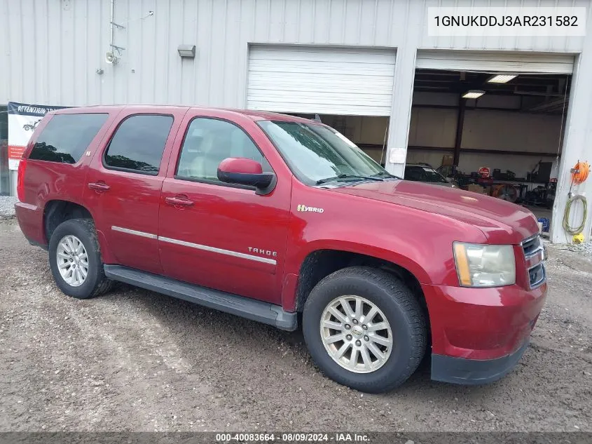 2010 Chevrolet Tahoe Hybrid VIN: 1GNUKDDJ3AR231582 Lot: 40083664