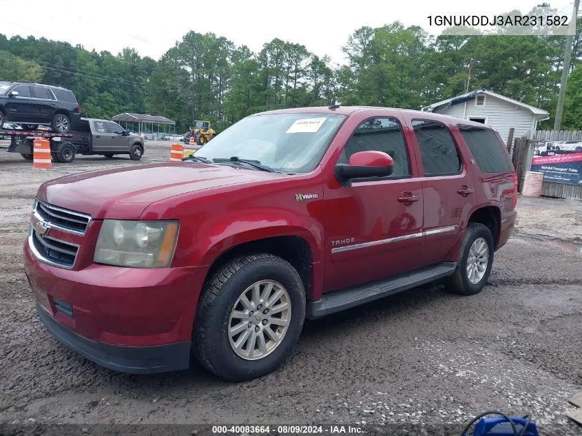 2010 Chevrolet Tahoe Hybrid VIN: 1GNUKDDJ3AR231582 Lot: 40083664