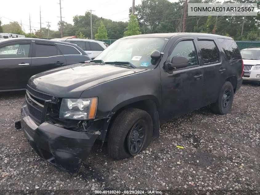 2010 Chevrolet Tahoe Ls VIN: 1GNMCAE01AR125567 Lot: 40189240