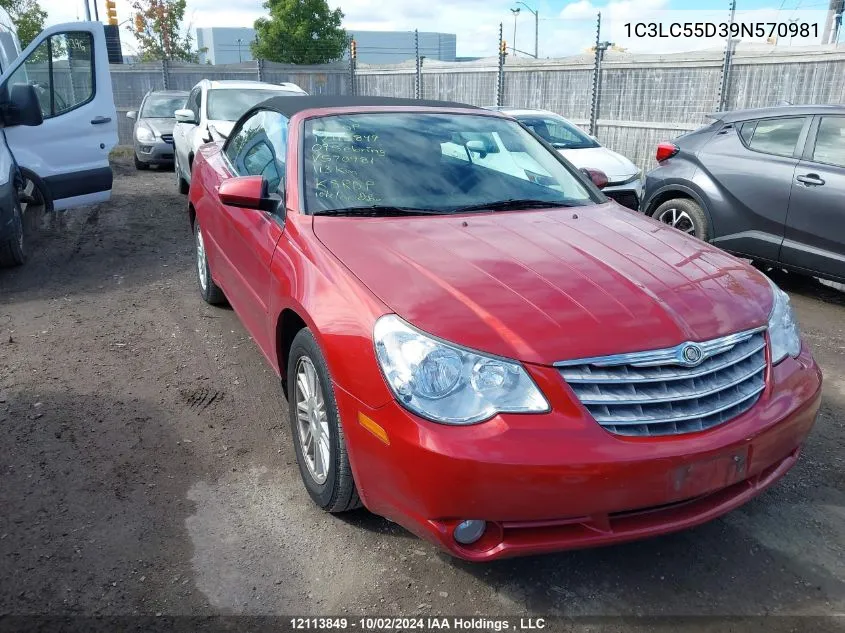 1C3LC55D39N570981 2009 Chrysler Sebring Touring