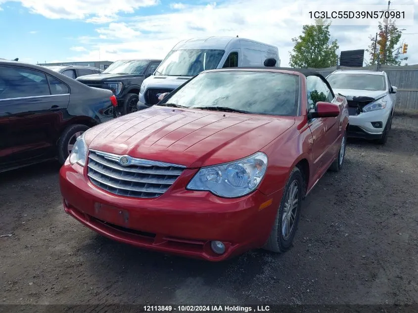 1C3LC55D39N570981 2009 Chrysler Sebring Touring