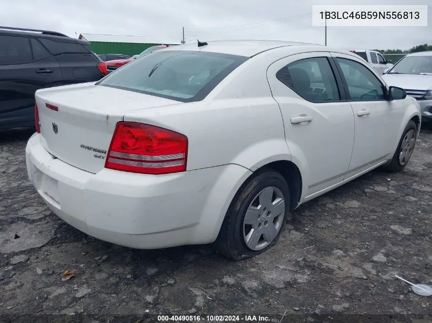 1B3LC46B59N556813 2009 Dodge Avenger Se/Sxt