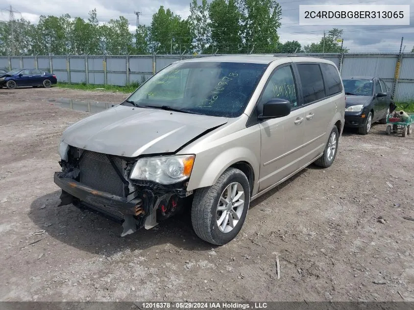 2014 Dodge Grand Caravan VIN: 2C4RDGBG8ER313065 Lot: 12016378