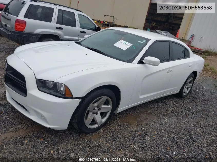 2013 Dodge Charger Police VIN: 2C3CDXAT5DH568558 Lot: 40307982