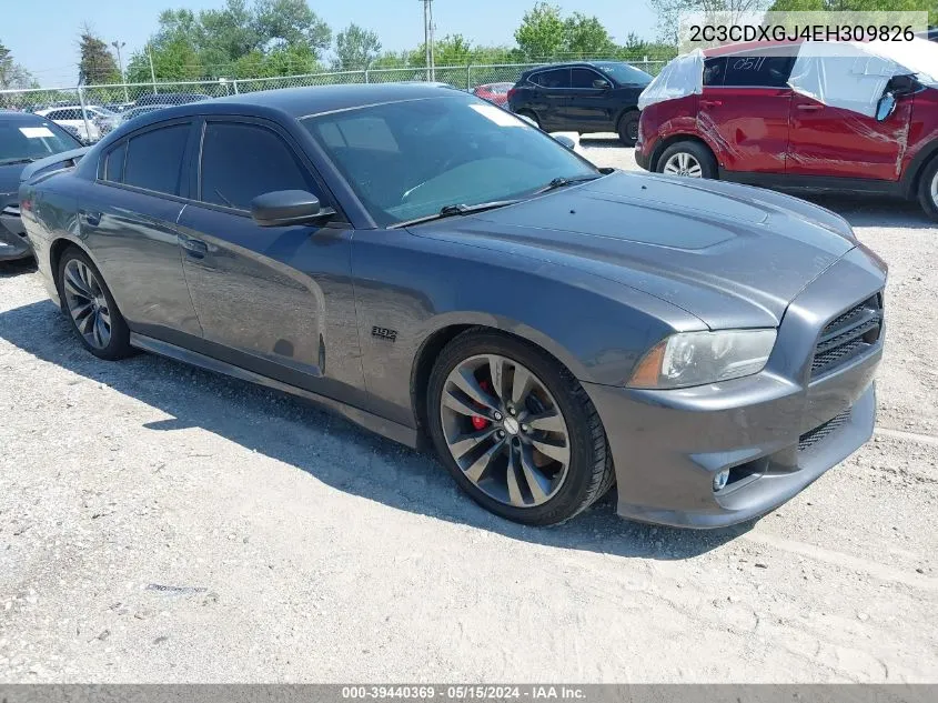 2014 Dodge Charger Srt8 Super Bee VIN: 2C3CDXGJ4EH309826 Lot: 39440369