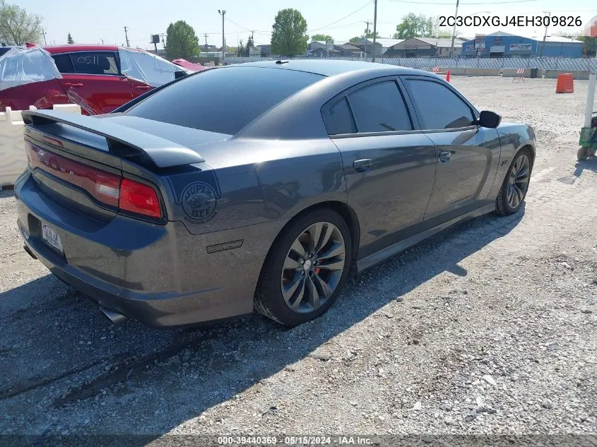 2C3CDXGJ4EH309826 2014 Dodge Charger Srt8 Super Bee