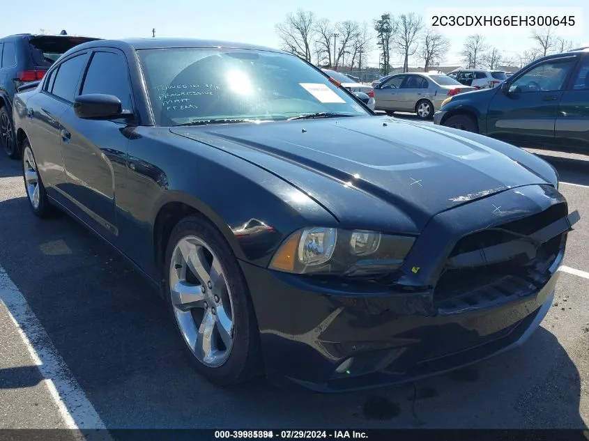 2C3CDXHG6EH300645 2014 Dodge Charger Sxt