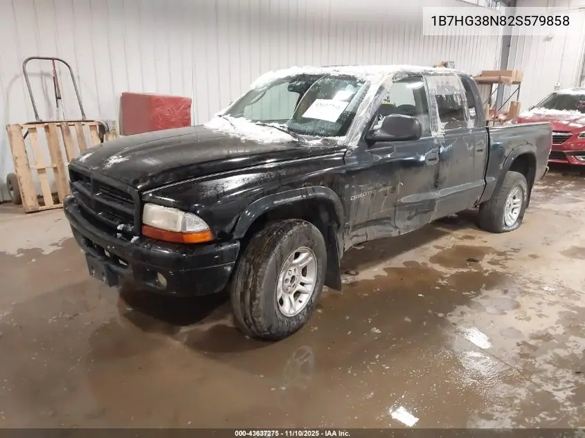 1B7HG38N82S579858 2002 Dodge Dakota Sport