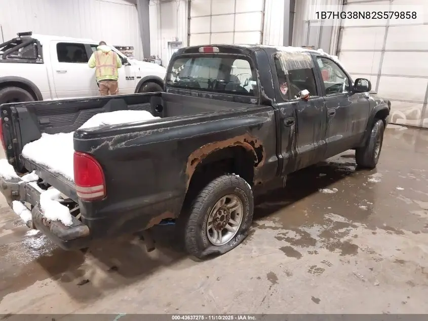 1B7HG38N82S579858 2002 Dodge Dakota Sport