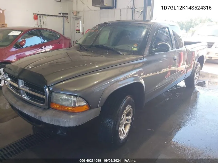 2004 Dodge Dakota VIN: 1D7GL12K14S524316 Lot: 40284099