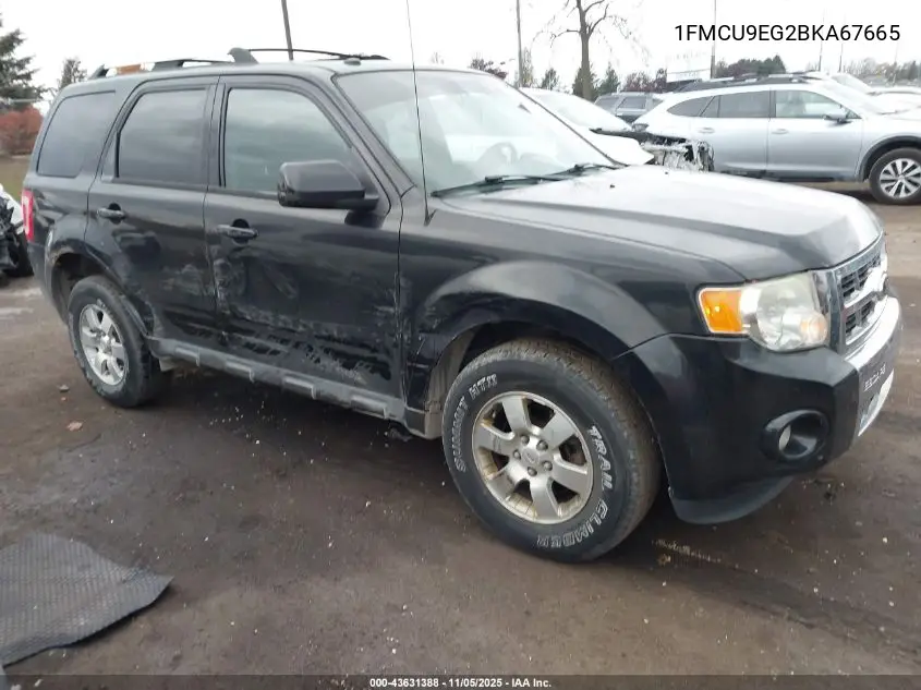 1FMCU9EG2BKA67665 2011 Ford Escape Limited