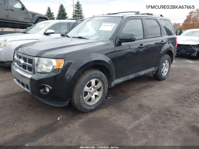 1FMCU9EG2BKA67665 2011 Ford Escape Limited