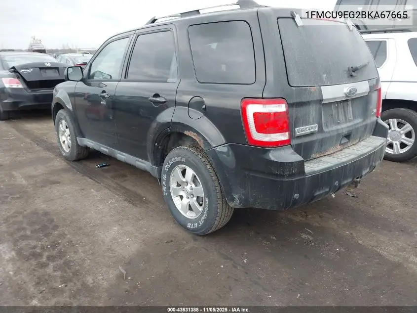 1FMCU9EG2BKA67665 2011 Ford Escape Limited
