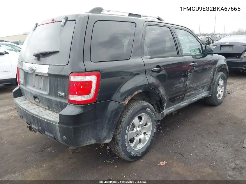 1FMCU9EG2BKA67665 2011 Ford Escape Limited