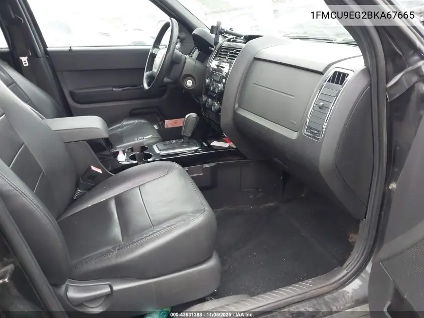 1FMCU9EG2BKA67665 2011 Ford Escape Limited