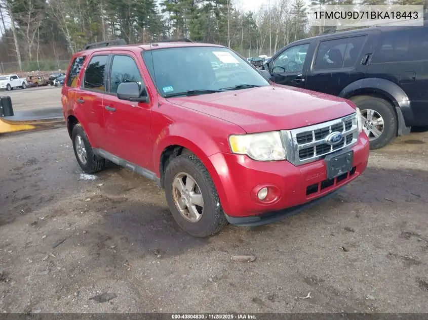 1FMCU9D71BKA18443 2011 Ford Escape Xlt