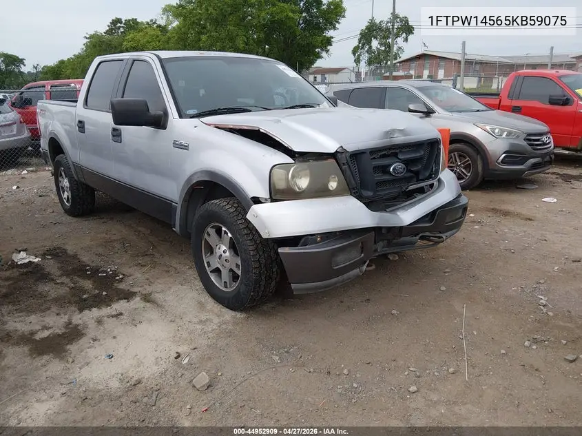 2005 Ford F-150 Fx4/Lariat/Xlt VIN: 1FTPW14565KB59075 Lot: 44952909