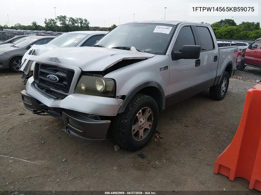 2005 Ford F-150 Fx4/Lariat/Xlt VIN: 1FTPW14565KB59075 Lot: 44952909