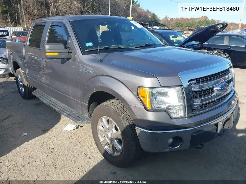 1FTFW1EF3EFB18480 2014 Ford F-150 Xlt