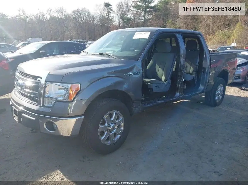 1FTFW1EF3EFB18480 2014 Ford F-150 Xlt