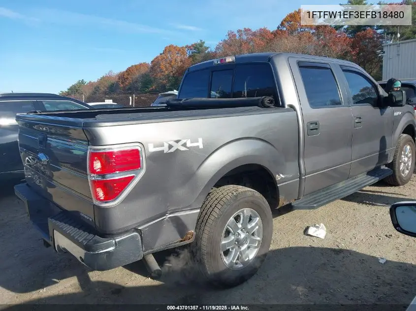 1FTFW1EF3EFB18480 2014 Ford F-150 Xlt
