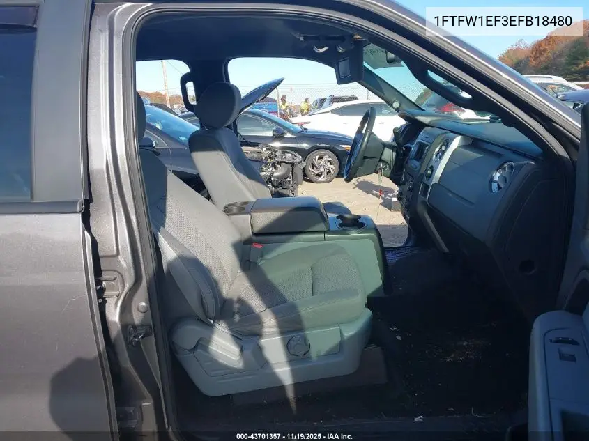 1FTFW1EF3EFB18480 2014 Ford F-150 Xlt