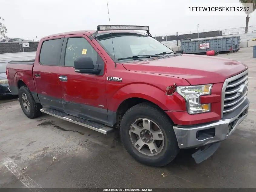 1FTEW1CP5FKE19252 2015 Ford F-150 Xlt