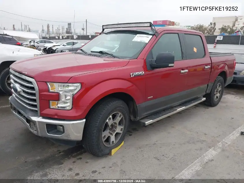 1FTEW1CP5FKE19252 2015 Ford F-150 Xlt