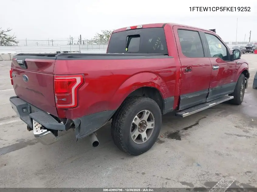 1FTEW1CP5FKE19252 2015 Ford F-150 Xlt