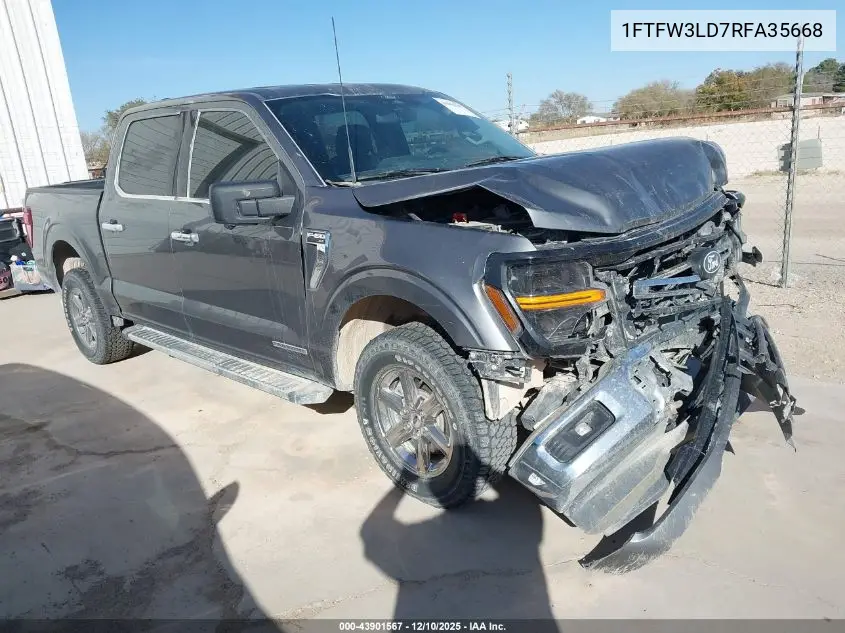1FTFW3LD7RFA35668 2024 Ford F-150 Xlt