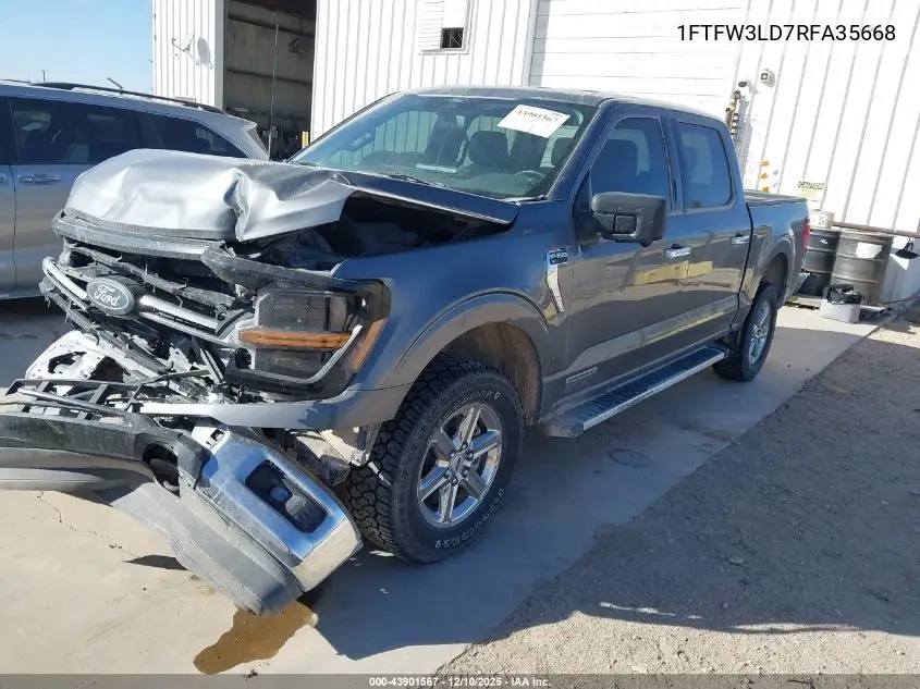 1FTFW3LD7RFA35668 2024 Ford F-150 Xlt