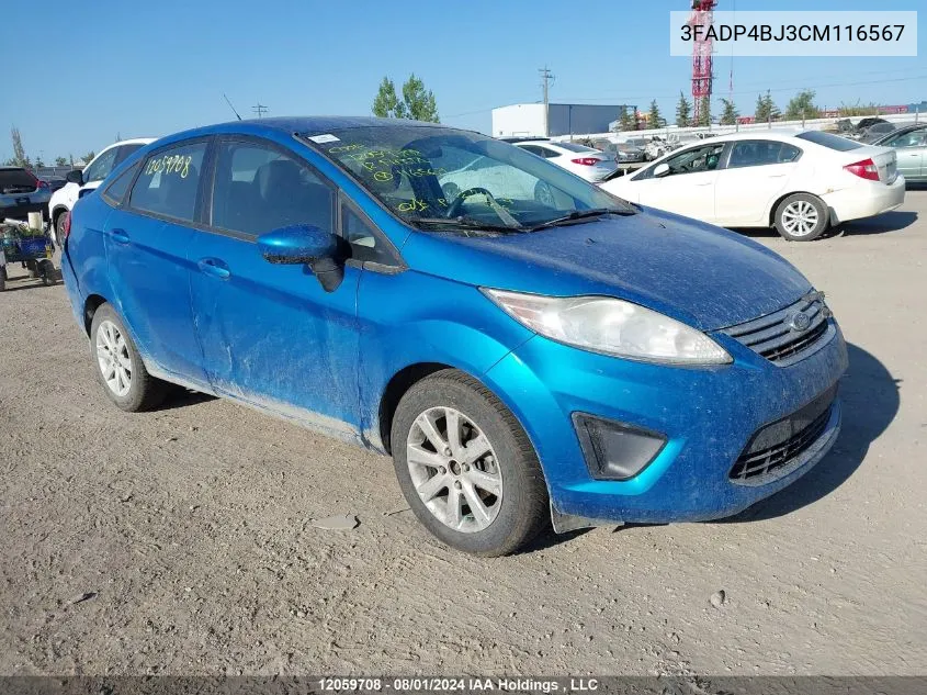 2012 Ford Fiesta Se VIN: 3FADP4BJ3CM116567 Lot: 12059708