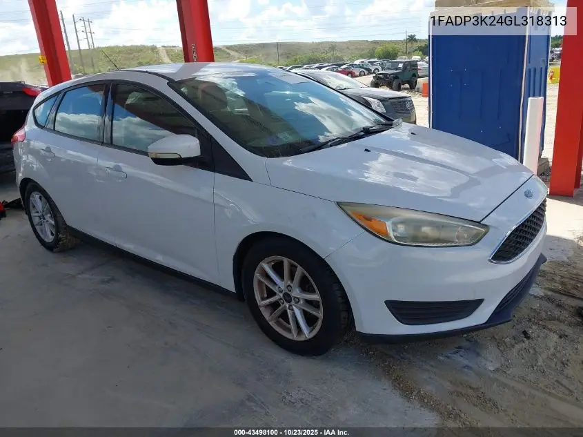 1FADP3K24GL318313 2016 Ford Focus Se