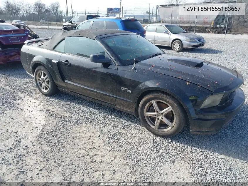 1ZVFT85H655183667 2005 Ford Mustang Gt
