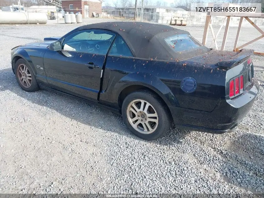 1ZVFT85H655183667 2005 Ford Mustang Gt