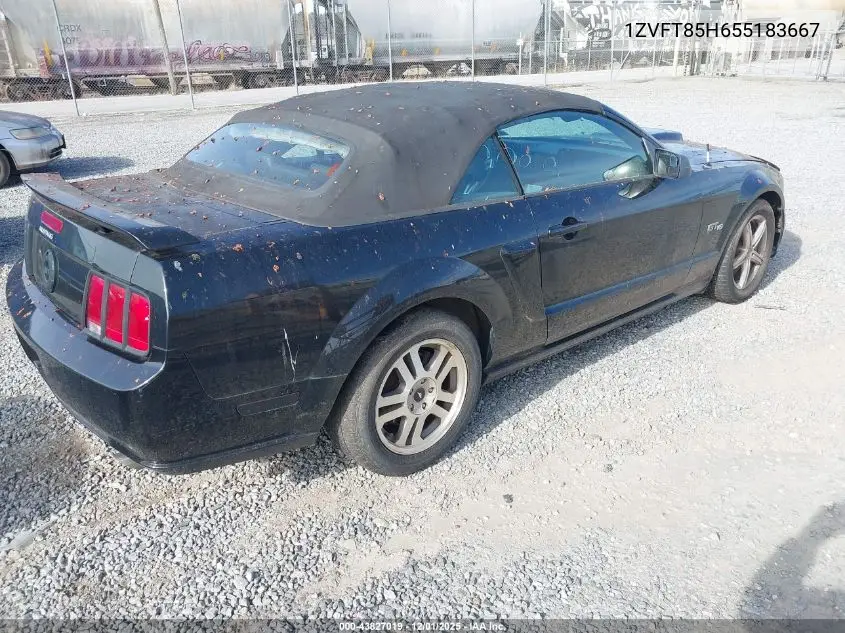 1ZVFT85H655183667 2005 Ford Mustang Gt