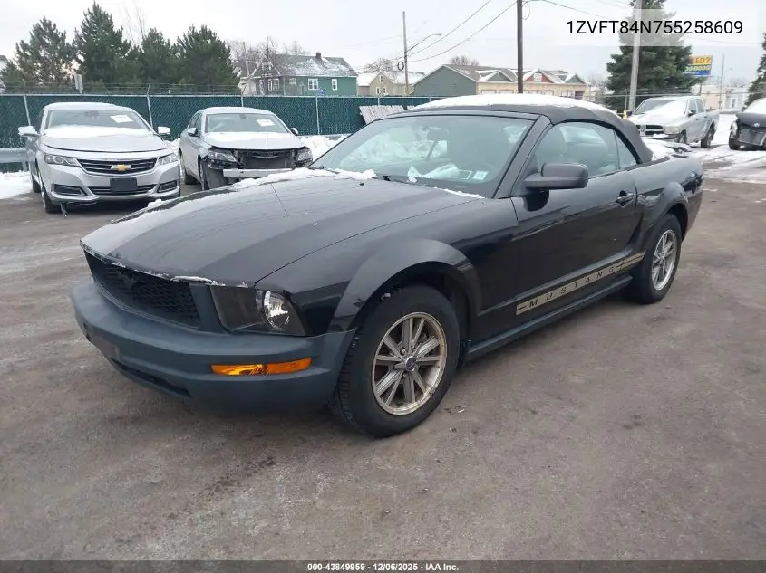 1ZVFT84N755258609 2005 Ford Mustang